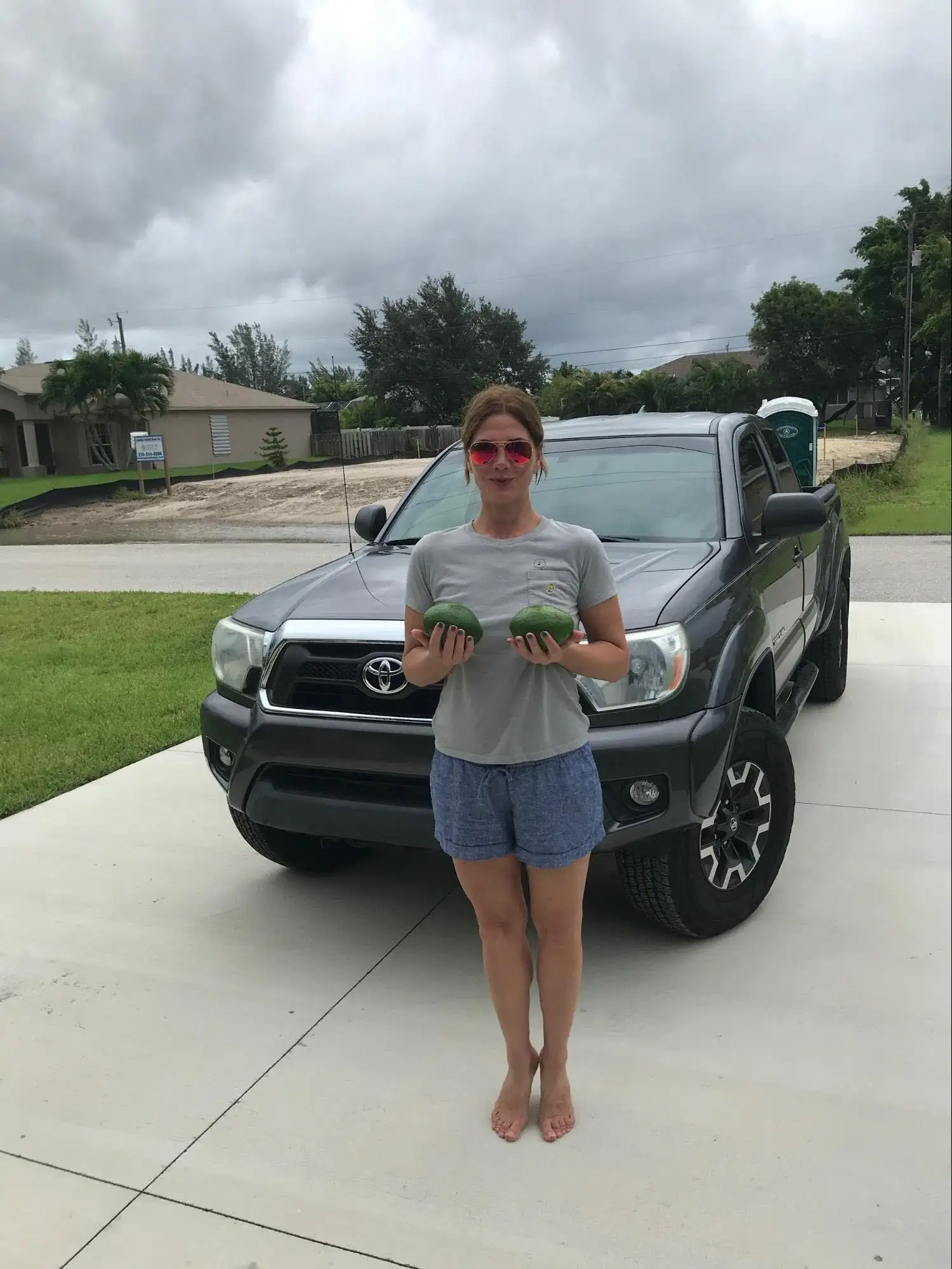 florida avocados