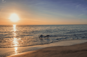 Sonnenuntergang am Sandstrand von Florida